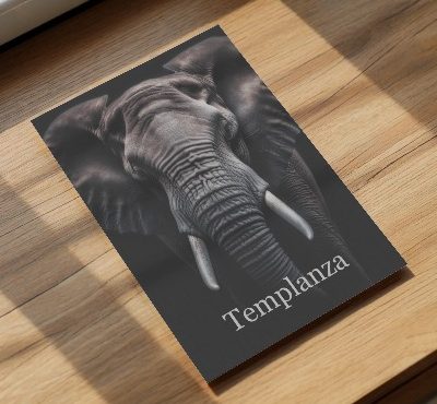 Elefante